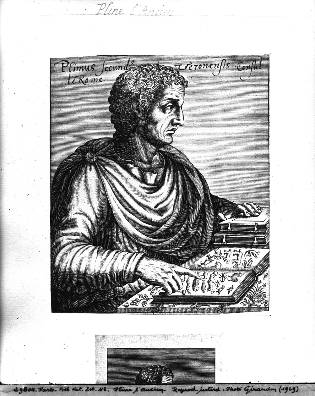 Plínio, o Velho (23-79 dC) de French School