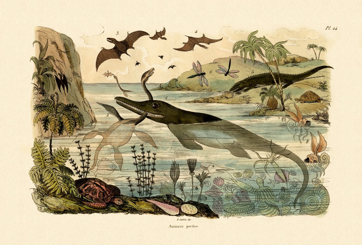 Animais pré-históricos, 1833-39 de French School