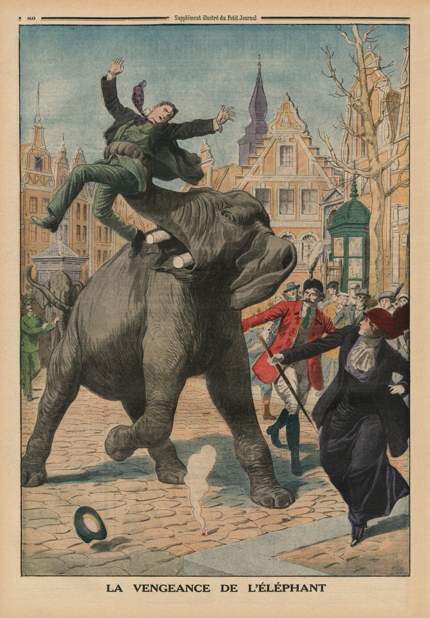 A vingança de um elefante, ilustração de capa de "Le Petit Journal", suplemento ilustre, 8 de março de 1914 de French School