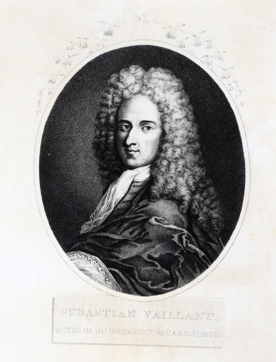 Sebastien Vaillant de French School