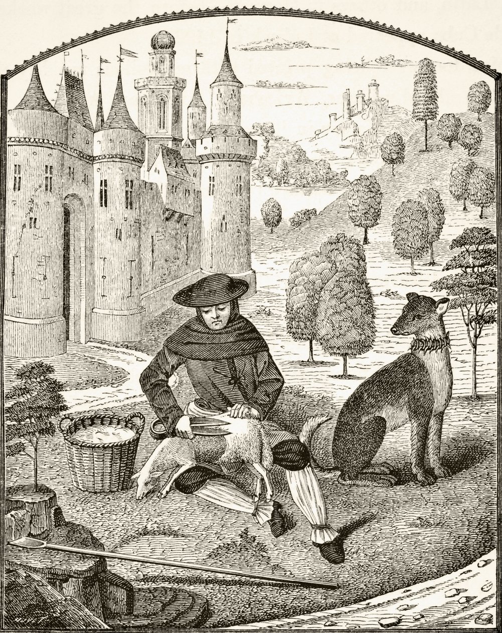 O corte de ovelhas na Idade Média, de "Ciência e Literatura na Idade Média", de Paul Lacroix (1806-84), publicou Londres em 1878 de French School