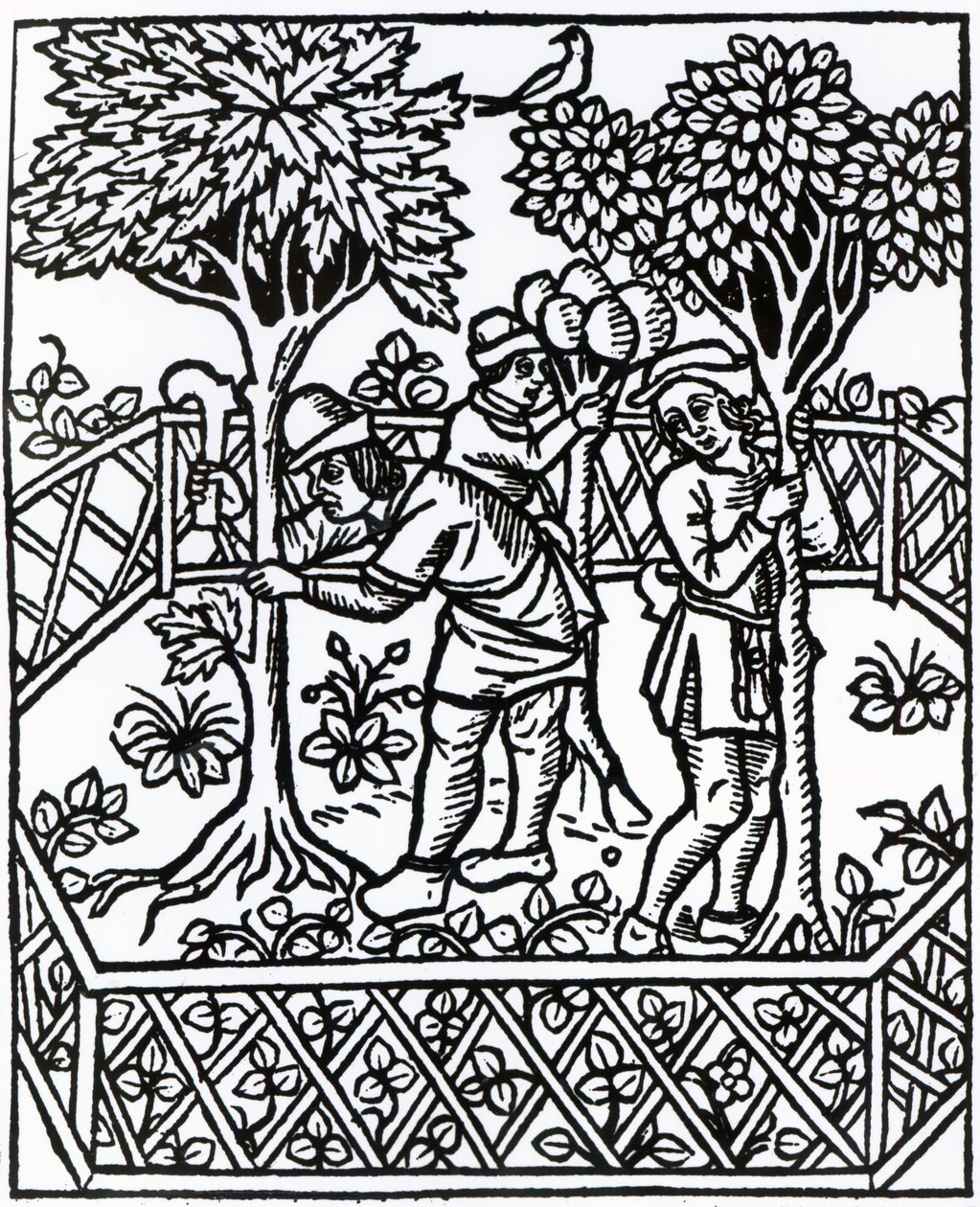 Tending Vines de &39;Livre des prouffits champetres&39; de Petrus de Crescentiis, edição publicada em 1529 de French School