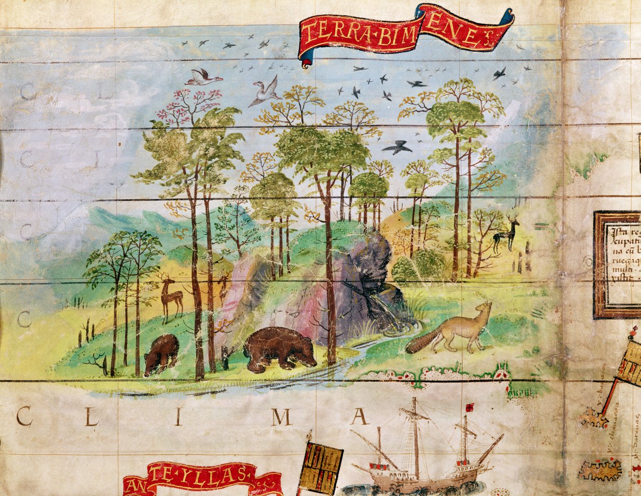 A floresta canadense, detalhe de um mapa do Atlântico, 1519 de French School