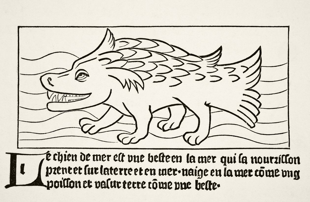 O Cachorro-do-mar, de "Ciência e Literatura na Idade Média", de Paul Lacroix (1806-84), publicou Londres, em 1878 de French School