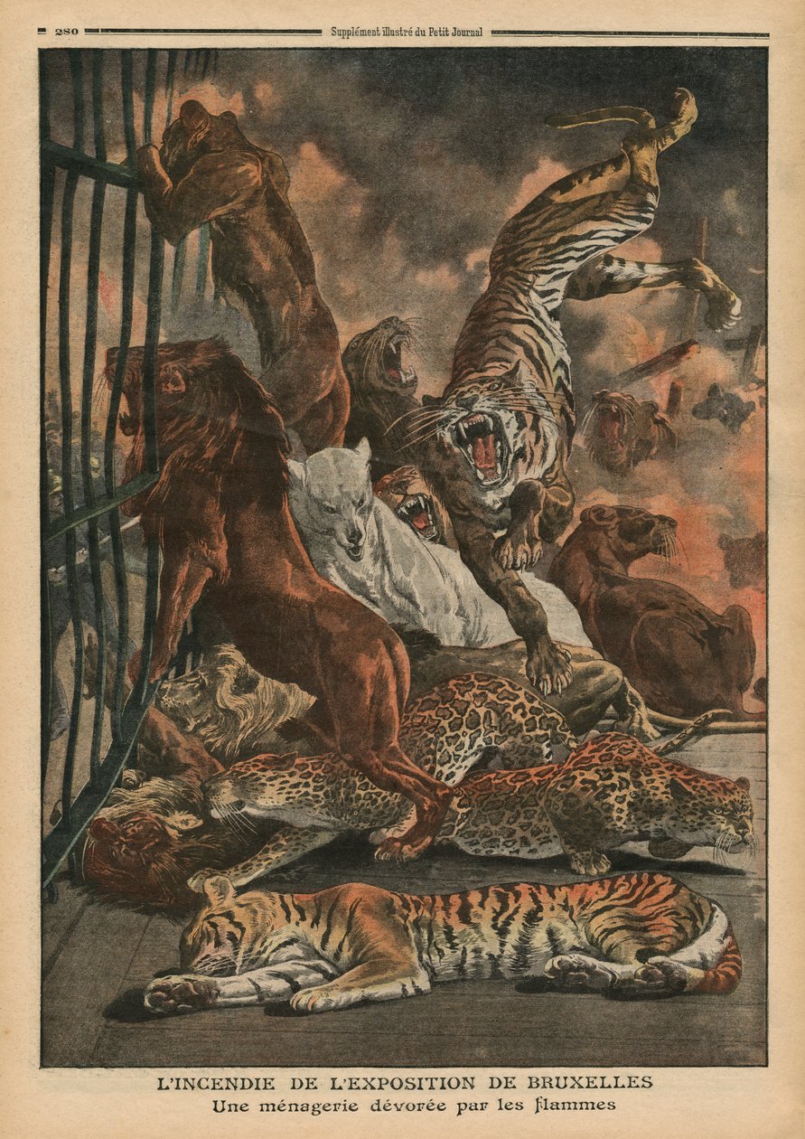 O incêndio na Exposição Universal de Bruxelas, um zoológico sendo consumido pelas chamas, ilustração de &39;Le Petit Journal&39;, suplemento ilustrado, 28 de agosto de 1910 de French School