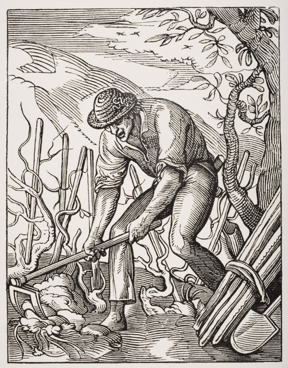 O viticultor, depois de uma gravura de Jost Amman (1539-91) de "Le Moyen Age et La Renaissance", de Paul Lacroix (1806-84), publicou 1847 de French School