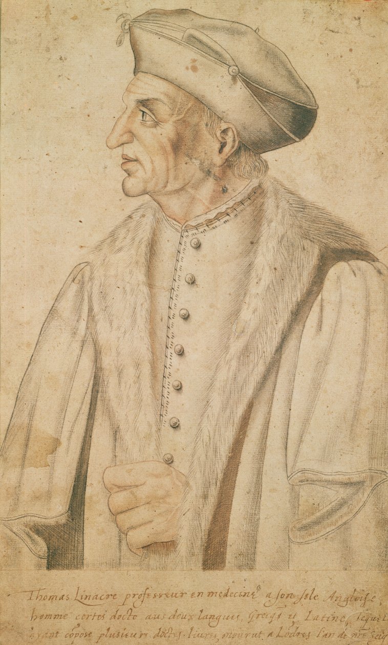 Thomas Linacre (otimista no papel) de French School
