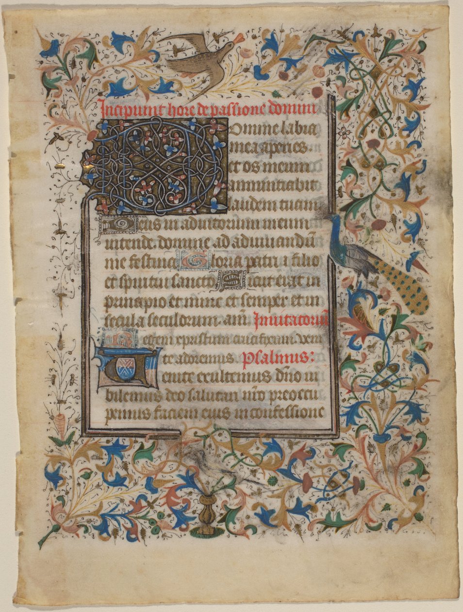 Folha Manuscrito de um Livro de Horas (incip. Passionis) de French 14th Century