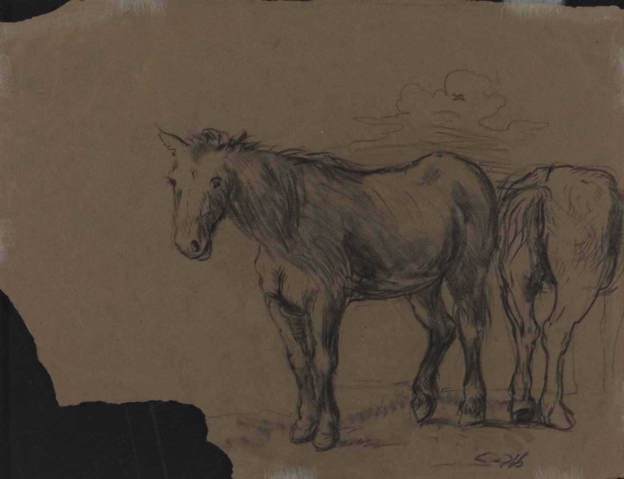 Éguas de French 19th Century