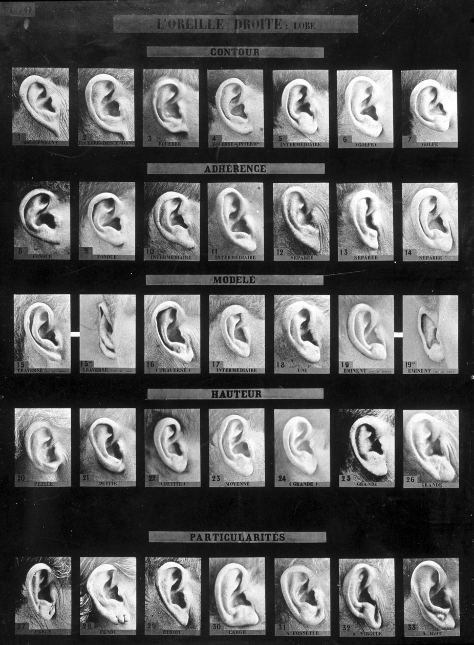 Classificação antropométrica e identificação do sistema Bertillon: comparação de diferentes tipos de orelhas retas (lobo). sd. Final do século XIX. de French Photographer