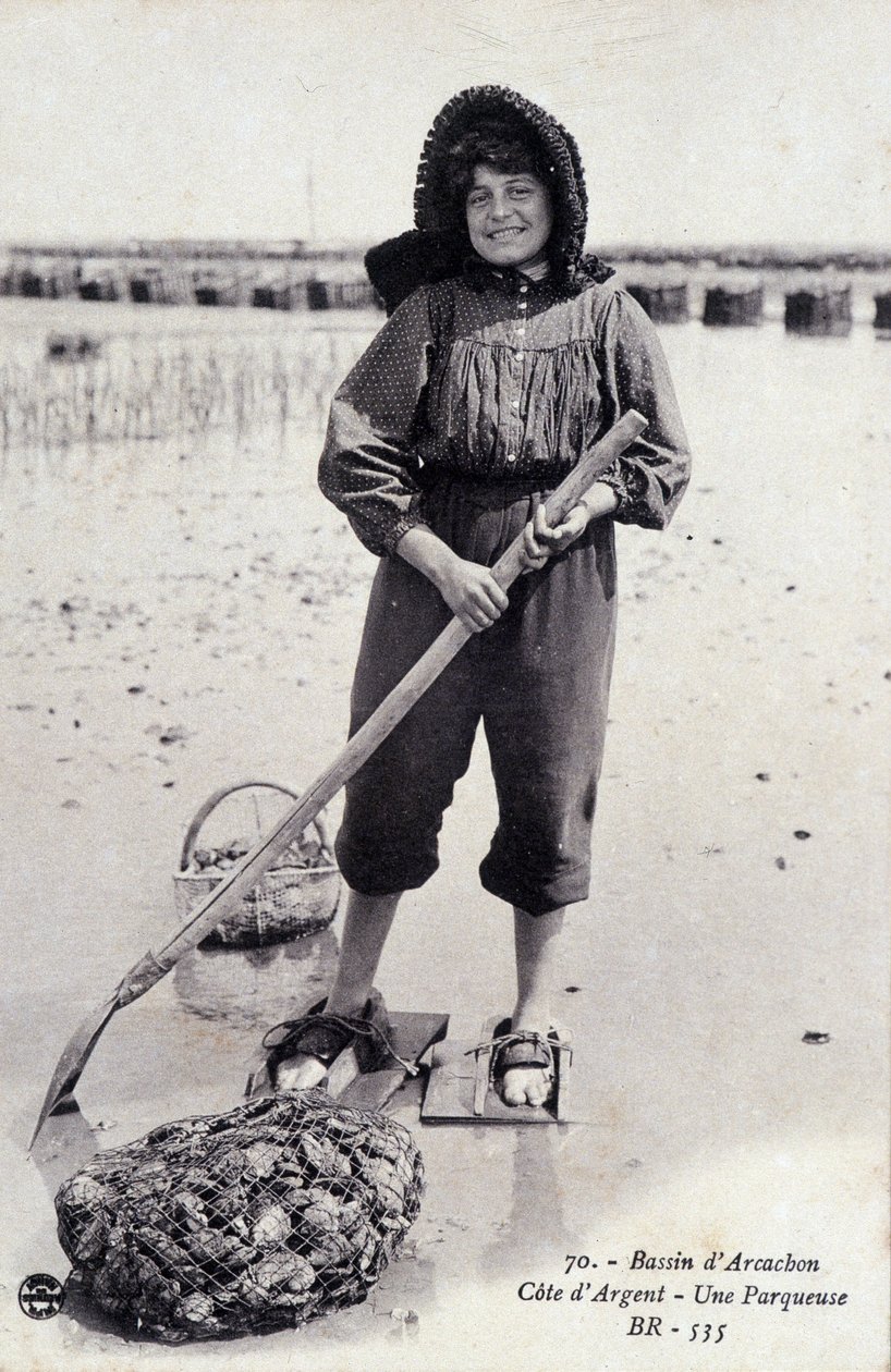 Bacia de Arcachon: uma máquina de fazer ostras - postal de French Photographer
