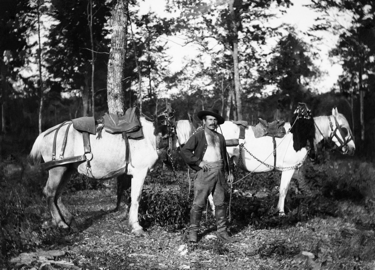 Bucheron com os seus cavalos, nos arredores de Bourmont em Haute-Marne (Haute Marne). Coleção Ducos. de French Photographer
