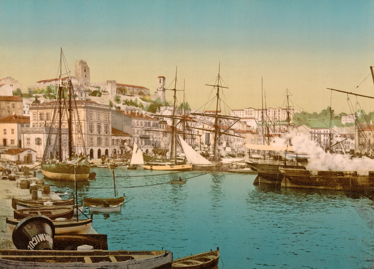 Vista geral do porto de Cannes, 1890-1900 de French Photographer