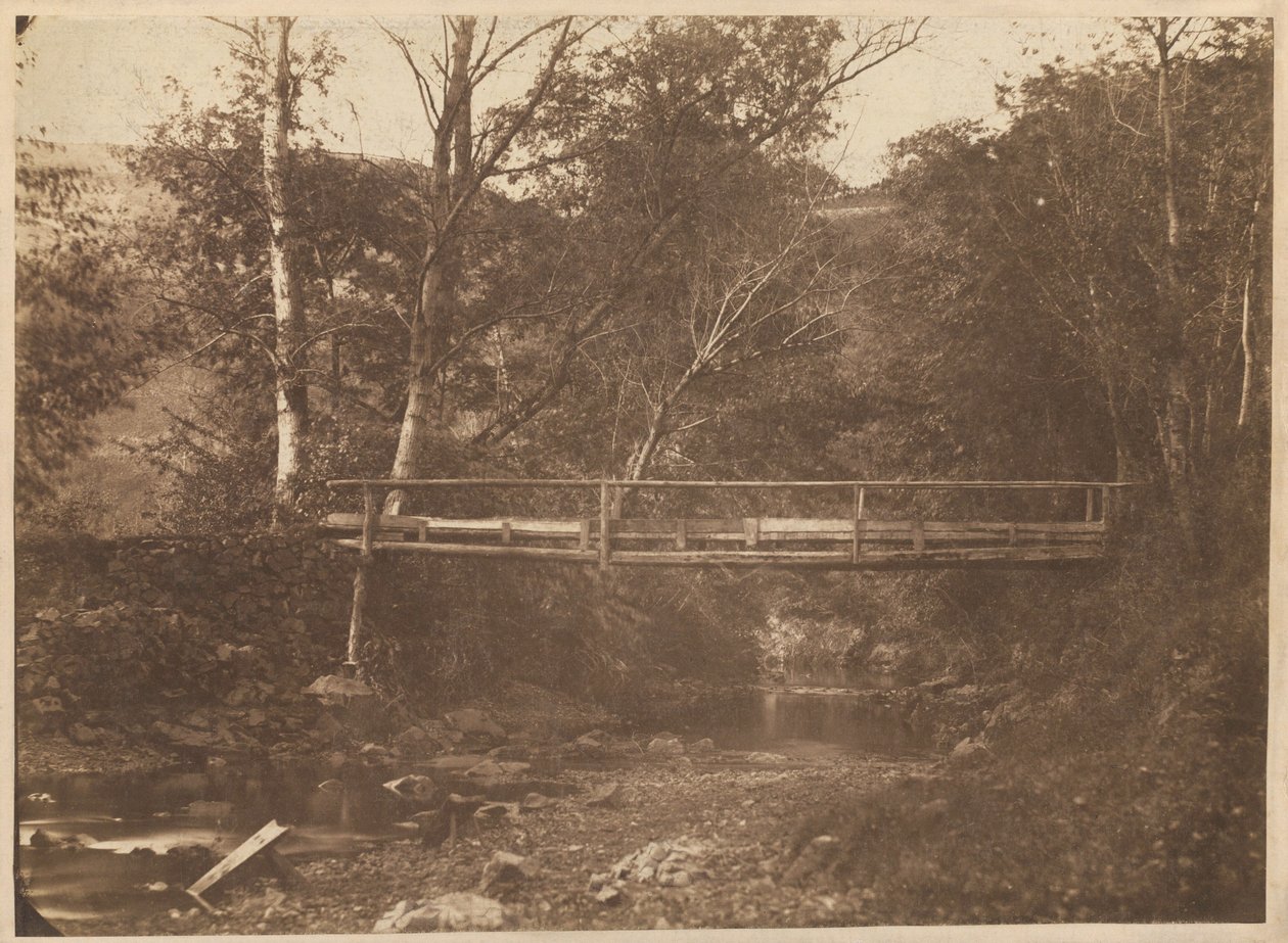 Paisagem com árvores e ponte,c. 1850 (foto) de French Photographer