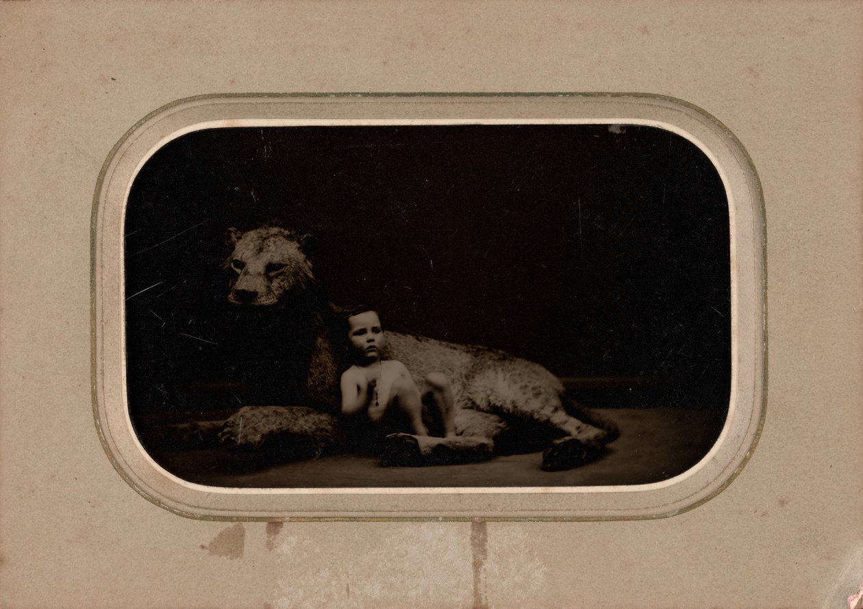 Retrato de uma criança,c. 1860 (foto) de French Photographer