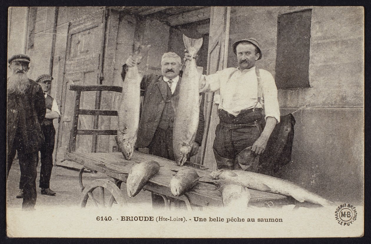 Postal retratando uma boa captura de salmão em Brioude, Haute-Loire, c.1900 de French Photographer