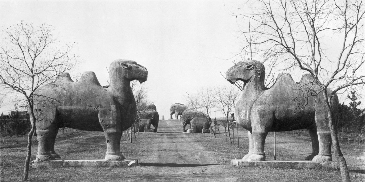 Caminho sagrado para o túmulo do Imperador Ming Hongwu (1327-98) em Nanjing, China de French Photographer