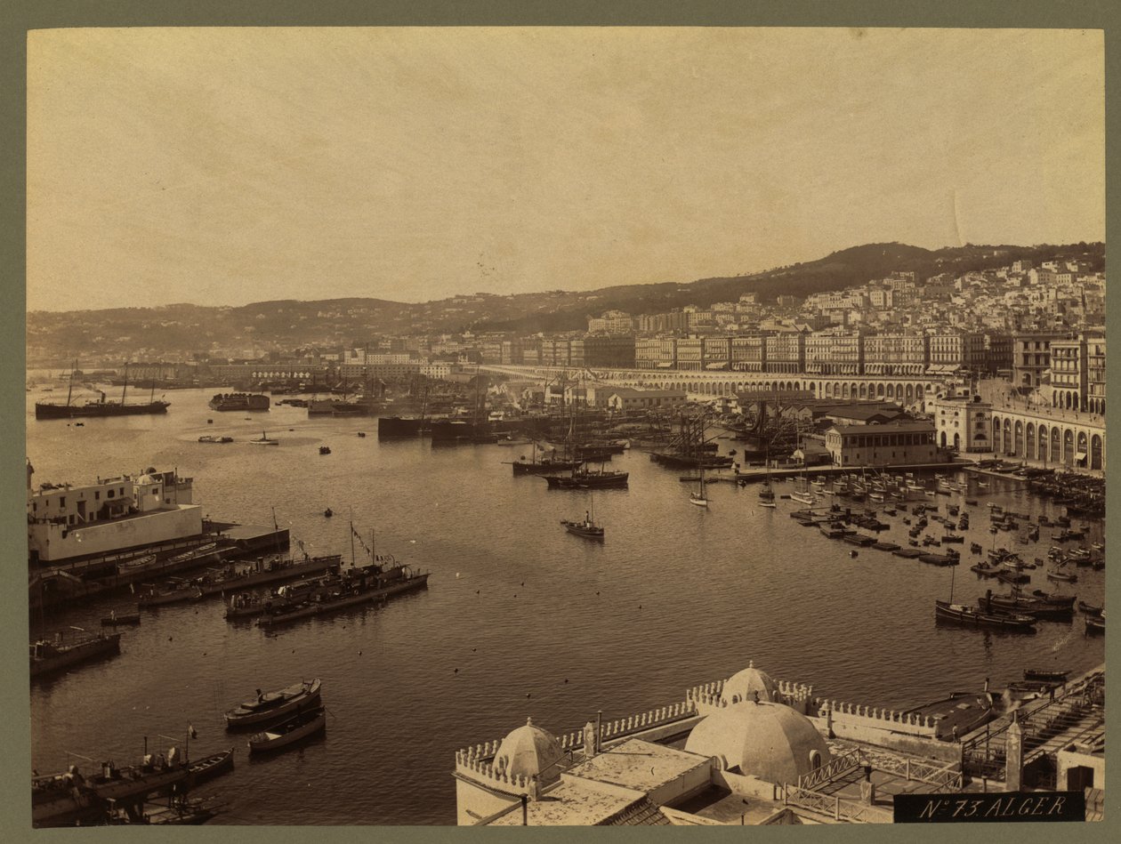 Vista de Argel, c.1860-1900 de French Photographer