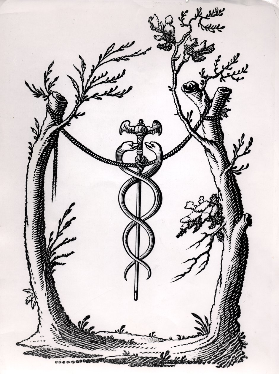Um caduceu de French School