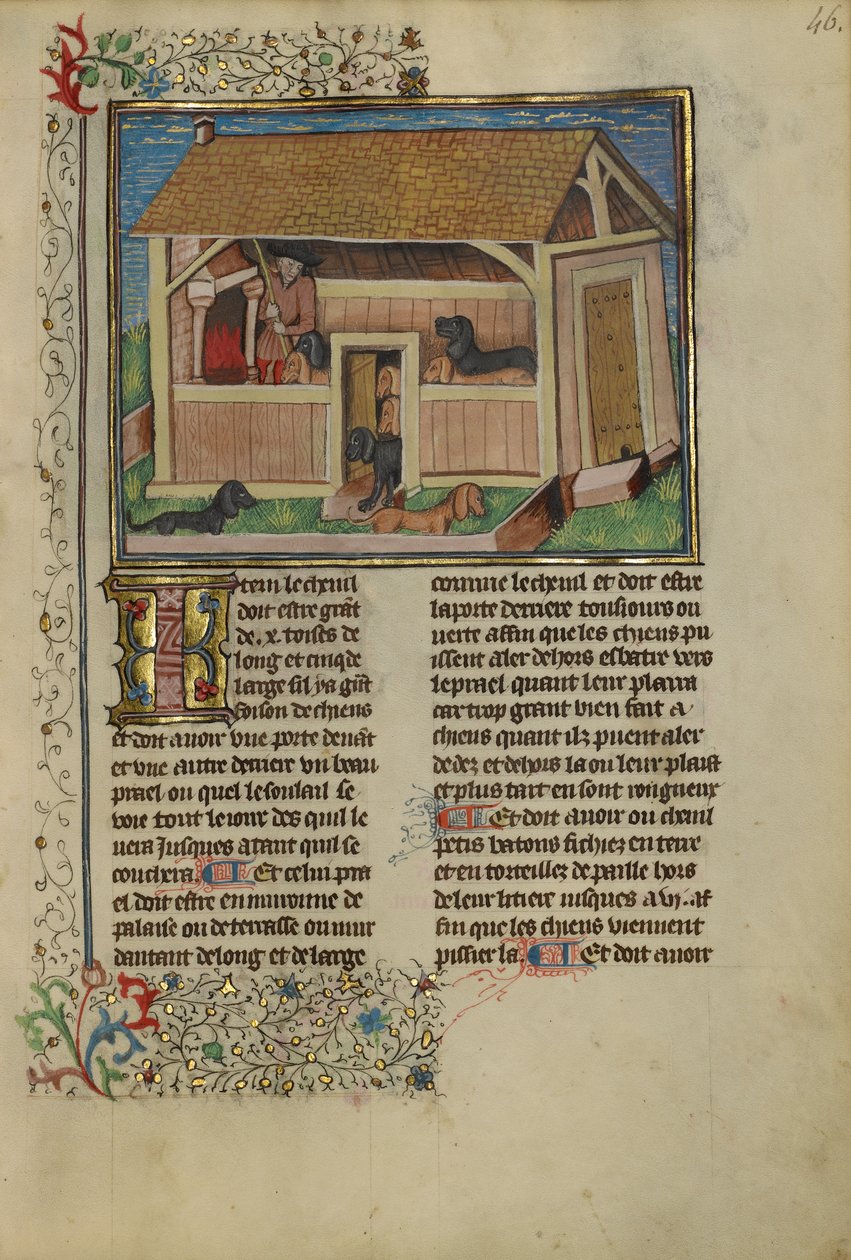 Um Caçador Atendendo a Cães em Canil, c.1430-40 (têmpera, ouro, tinta prateada e folha em pergaminho) de French School