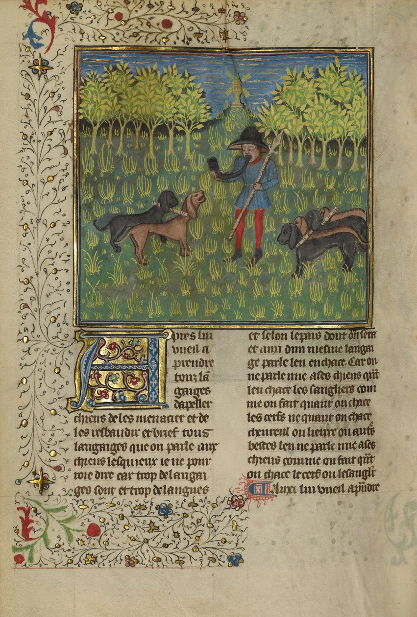 Um caçador treinando cães para responder ao chamado de um chifre, c.1430-40 (têmpera, tinta dourada e prateada e folha de ouro em pergaminho) de French School