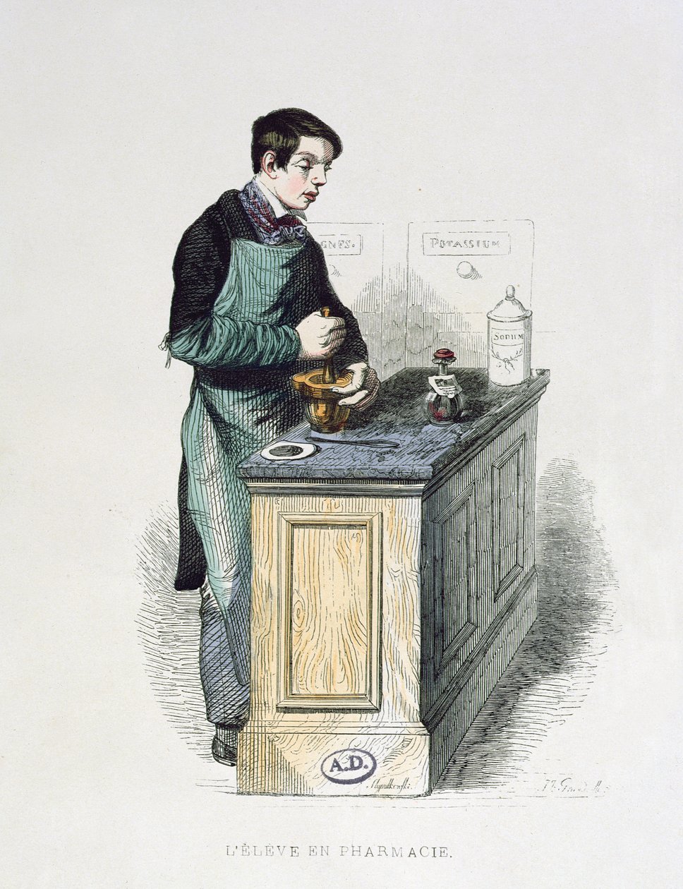 Um estudante de farmácia preparando a medicina, ilustração de Os franceses pintados por si mesmos, Edições L. Curmer, 1841 (gravura de cor) de French School