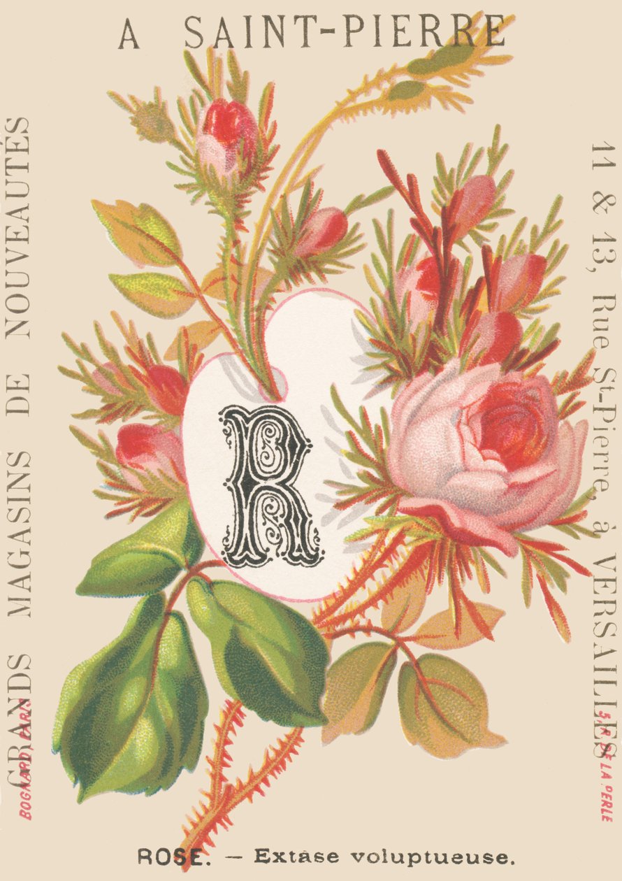 R: Rosa - êxtase voluptuoso de French School