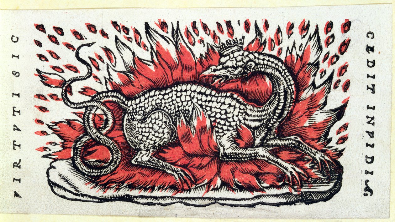 Uma Salamandra, 1ª metade do século XVI de French School