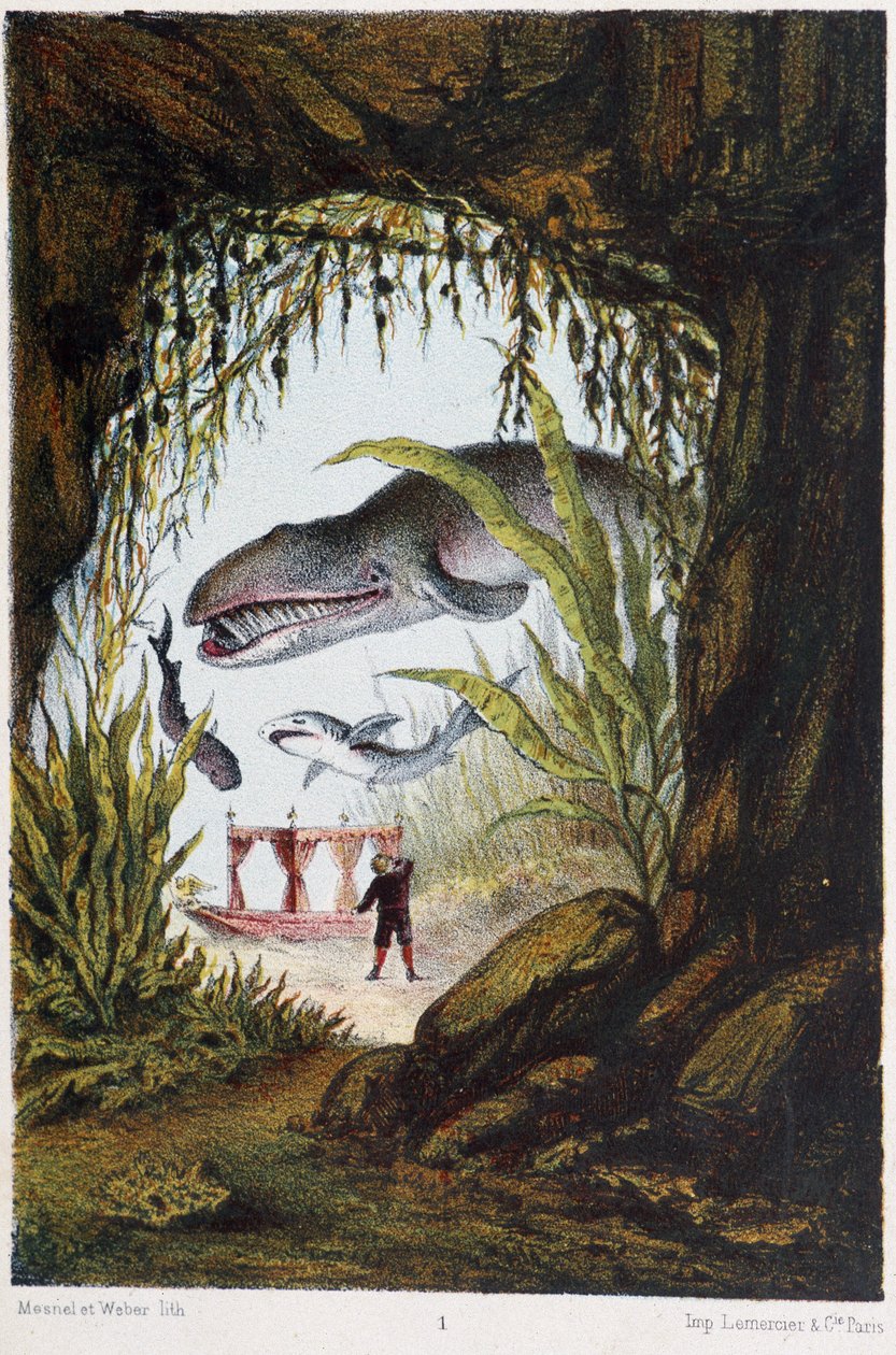 Um rapaz debaixo do mar com uma baleia e um tubarão - em "Journey to the bottom of the sea" de H. de la Blanchère. Paris, Ed. Jouvet et Cie, sd. 1880. de French School