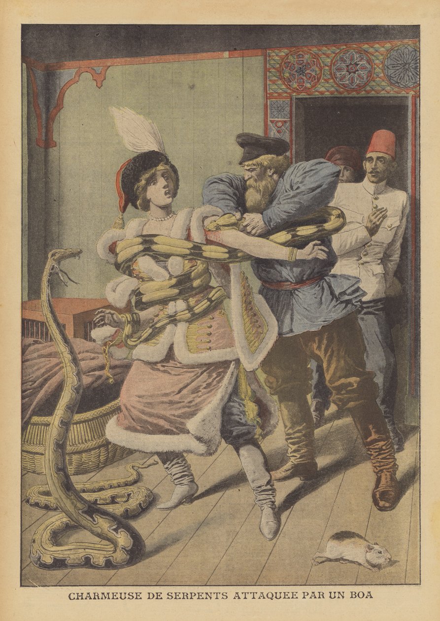 Uma encantadora de serpentes atacada por uma jiboia em Alexandria (litografia a cores) de French School