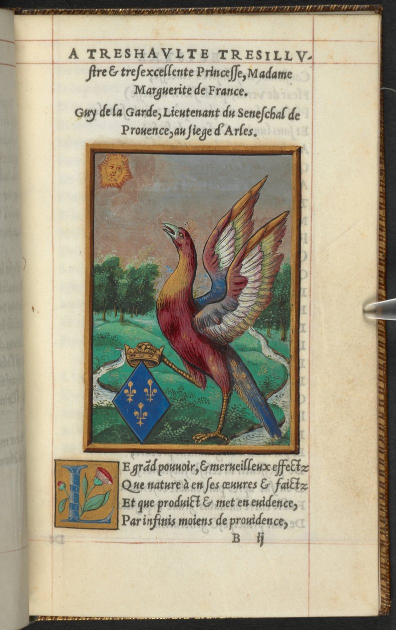 Uma fênix, de The History and Description of the Phoenix, etc. Guy de La Garde de French School