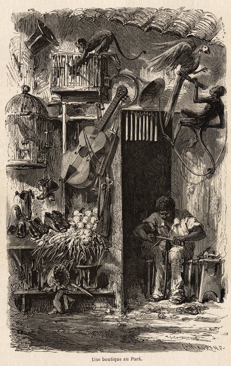 Uma loja no Pará, ilustração da viagem do Sr.Biard ao Brasil em 1858-1859. Gravura em "Le tour du monde" 1861. Coleção da Selva. de French School