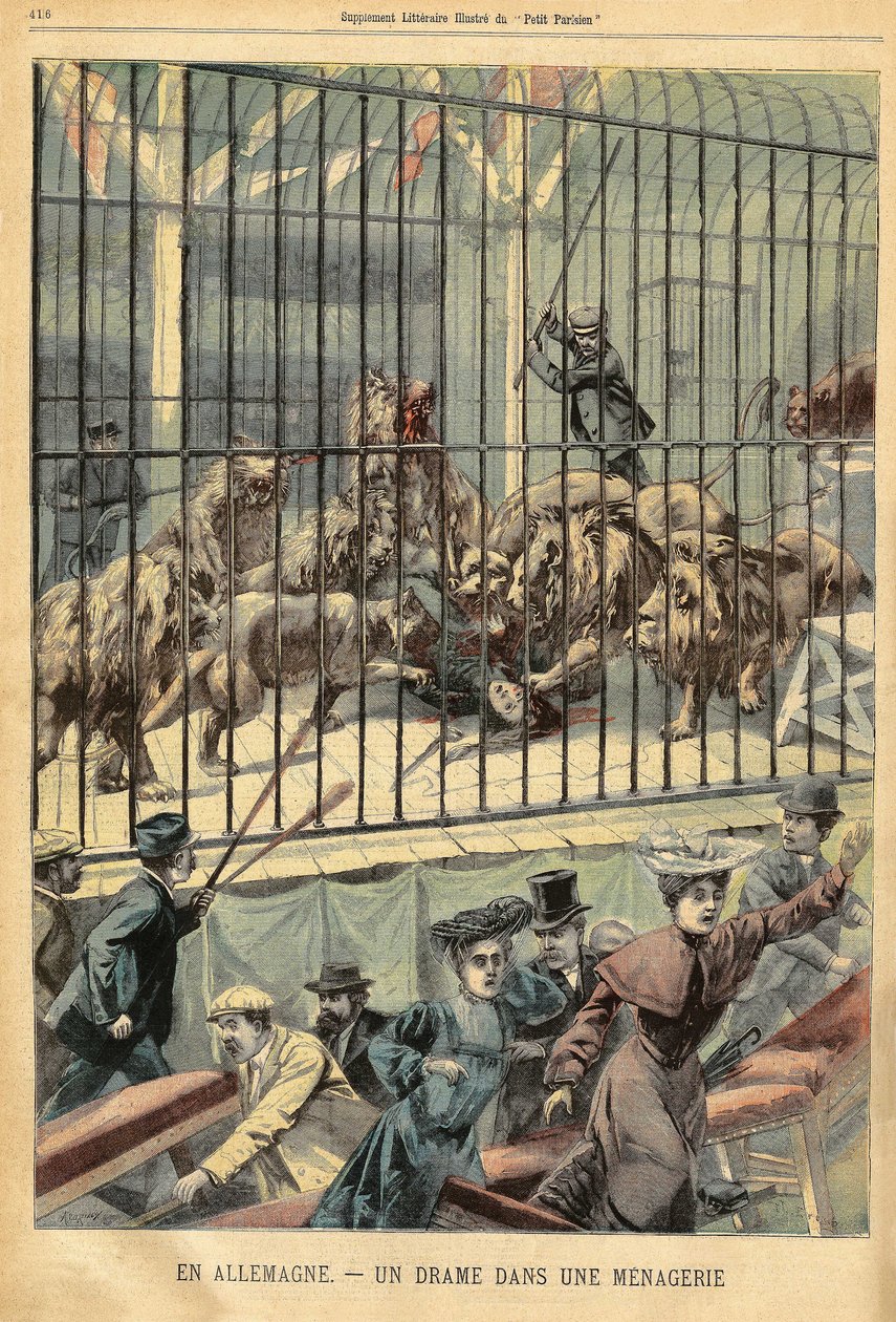 Um domador é devorado por seus leões em um menagerie em Dessau, Alemanha. Gravura em "Le Petite Parisien", no dia 27/12/1903. de French School