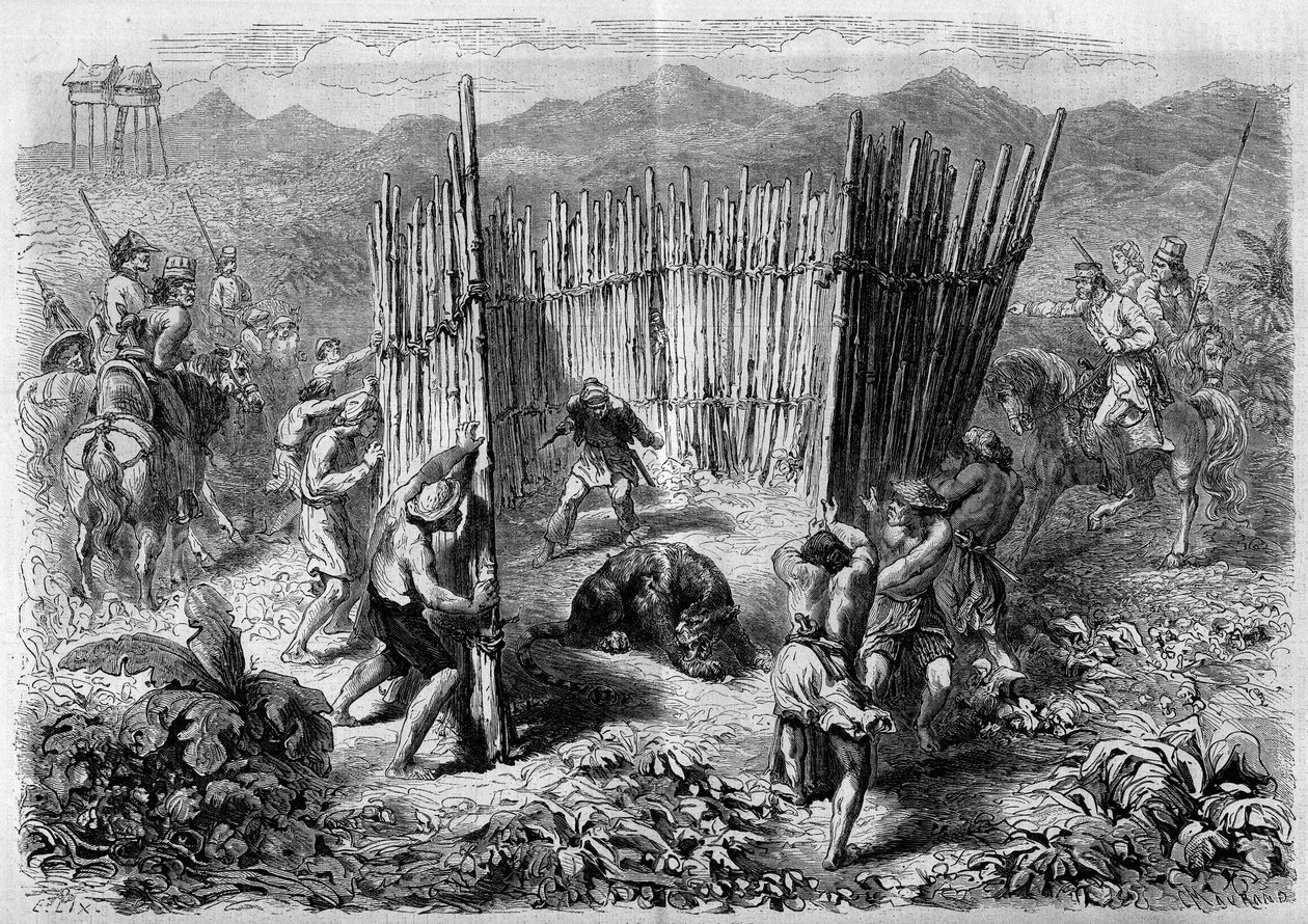 Uma caçada ao tigre na ilha Java em 1862. Gravura no "Le Monde Illustré" n°251 de 1 de Fevereiro de 1862. de French School