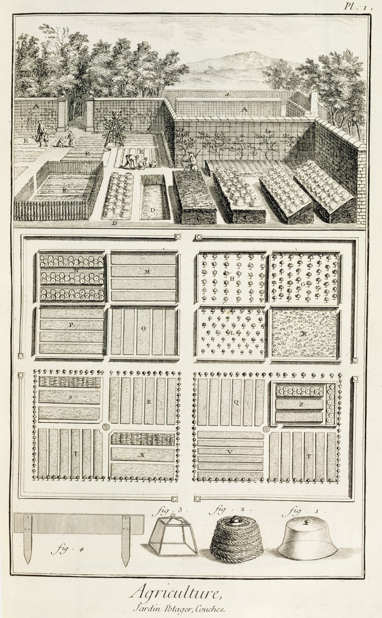 Uma horta, da Enciclopédia de Ciência, Arte e Engenharia de Denis Diderot (1713-84), c.1770 de French School