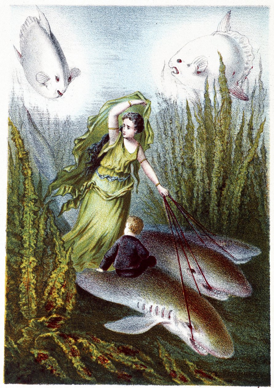 Uma mulher e um rapaz a fugir de peixes gigantes e tubarões - in "Viagem ao fundo do mar" de H. de la Blanchère. Paris, ed. Jouvet et Cie, sd. 1880. de French School