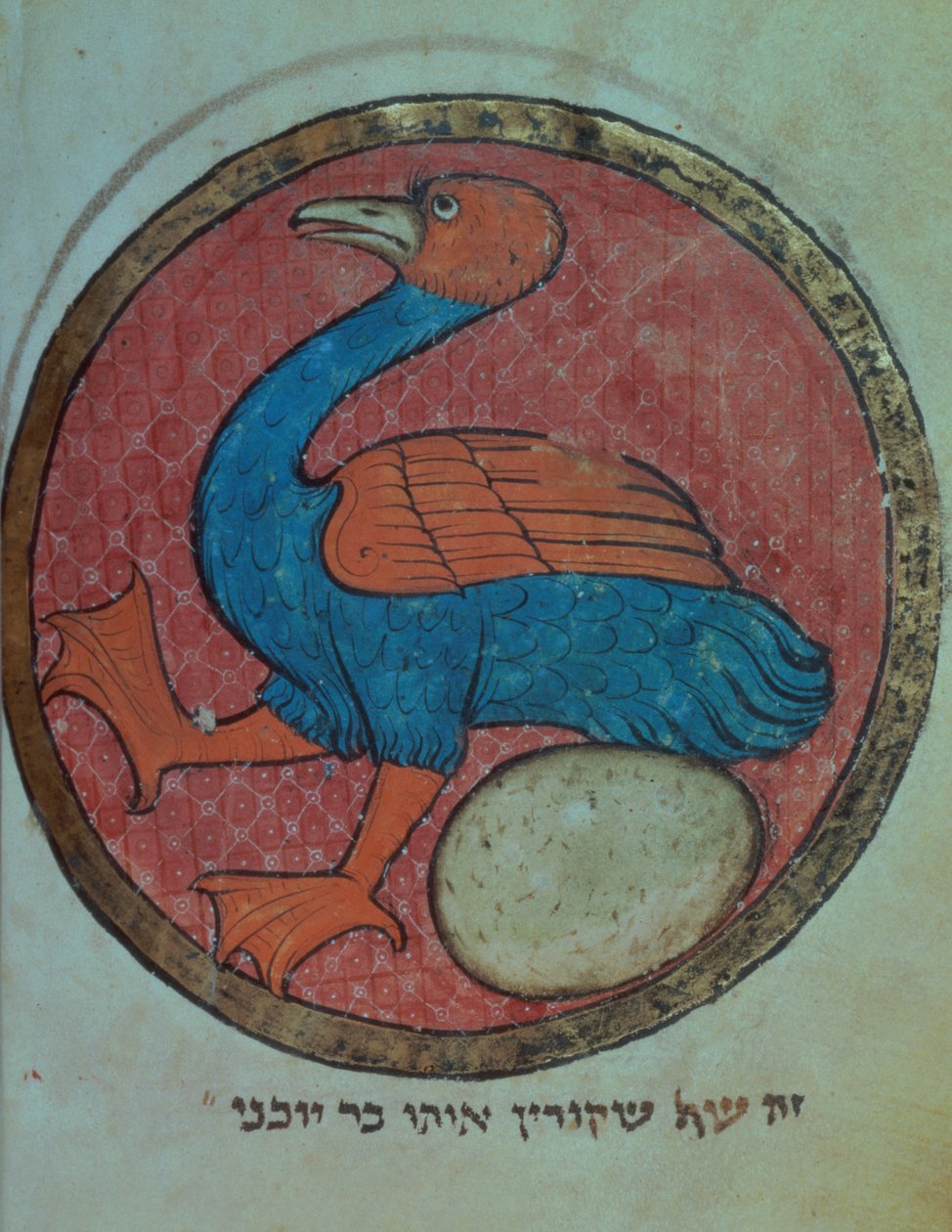 Adicionar 11639 f.517v Uma ave fantástica com um ovo, de uma Miscelânea do Norte da França, c.1280 (vellum) de French School