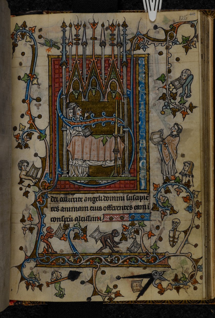 Acrescentar. 36684, f.125 