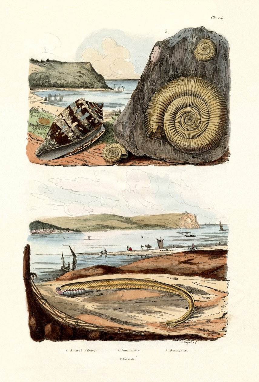Almirante Cone, 1833-39 de French School