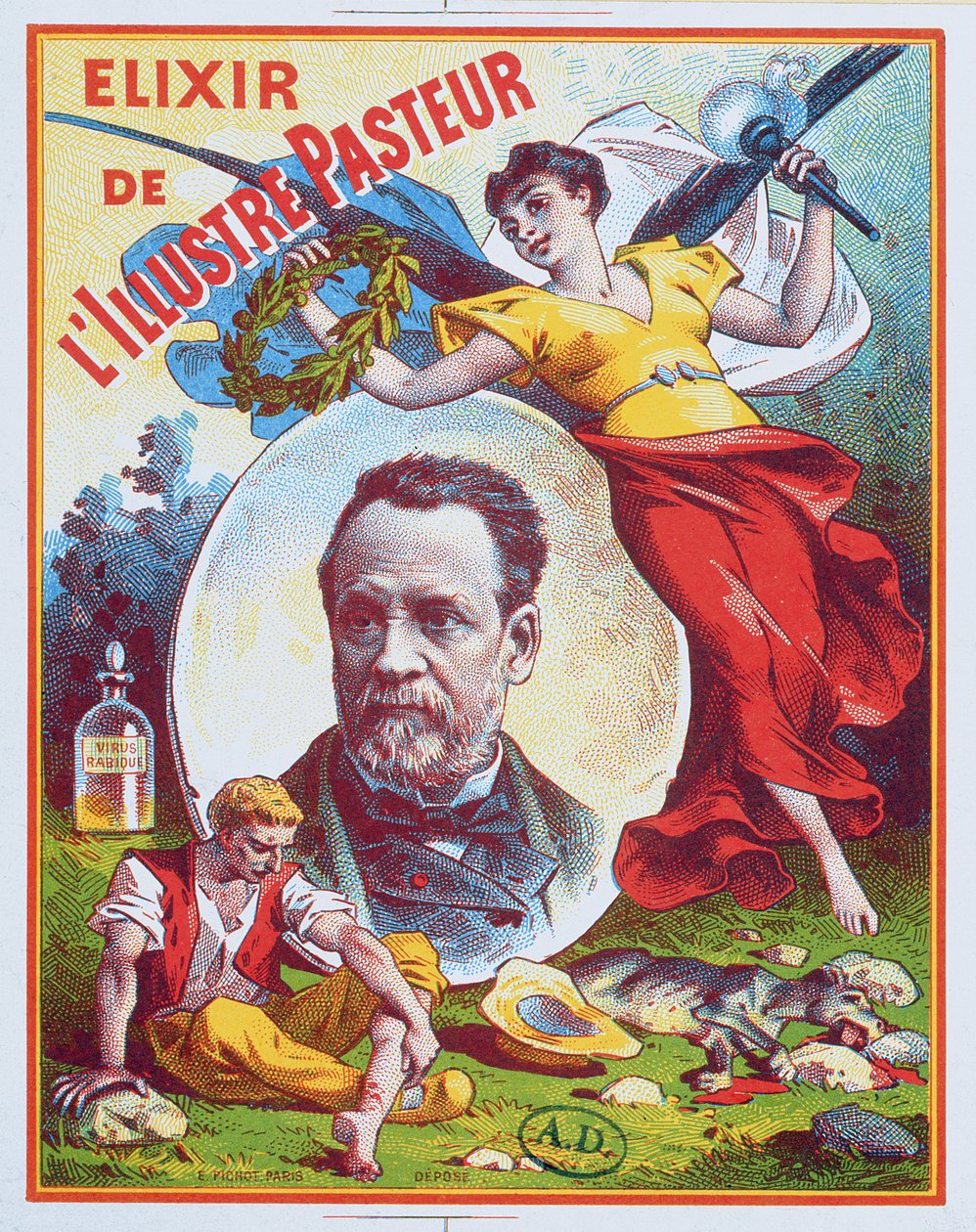Anúncio do Elixir do Pastor, 1900 de French School