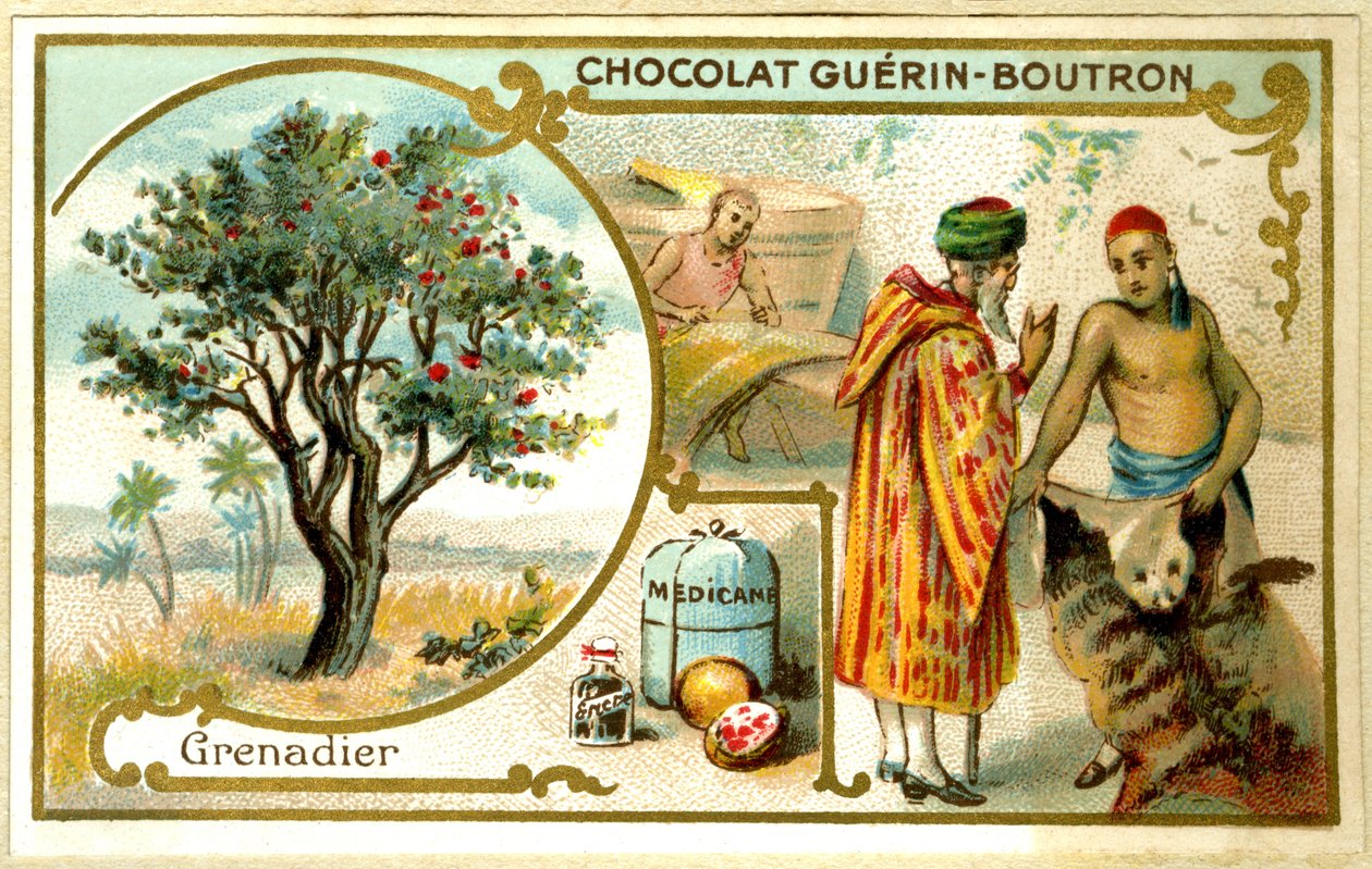 Cromolitografia publicitária de chocolates Guérin Boutron (cromolitografia) de French School