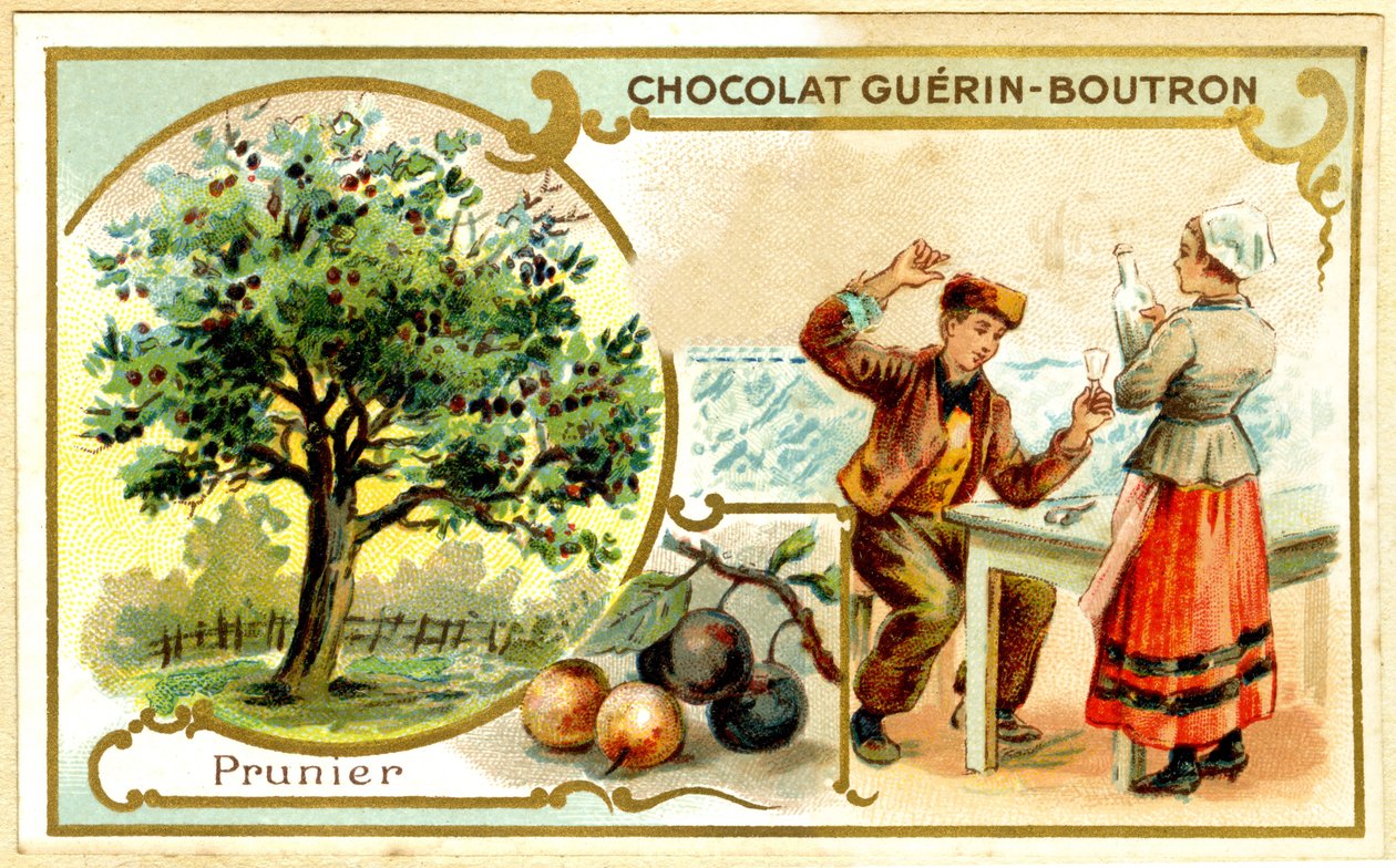 Cromolitografia publicitária de chocolates Guérin Boutron (cromolitografia) de French School