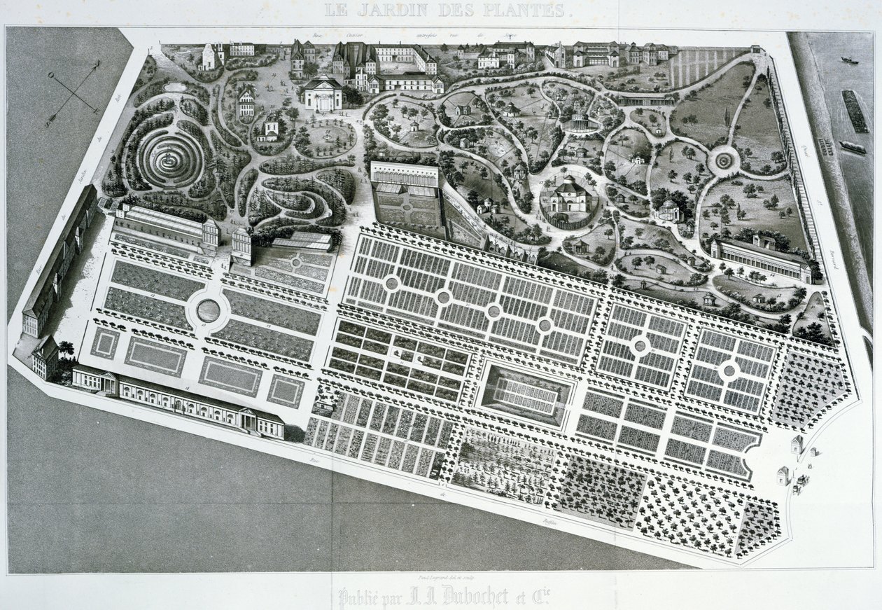 Vista aérea do plano do Jardin des Plantes em Paris, 1842 de French School
