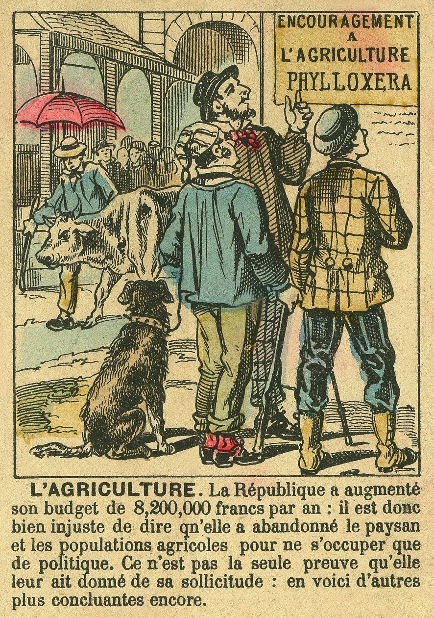 A agricultura ilustra os benefícios da Terceira República sobre o investimento agrícola e a sua preocupação com as populações camponesas. Gravura, em "Le Figaro, suplemento", em 30/03/1889, Paris. Coll. Selva. de French School