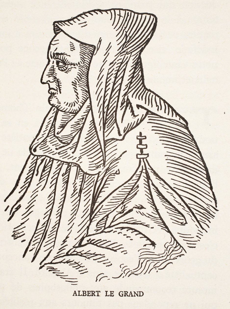 Albert o grande de French School
