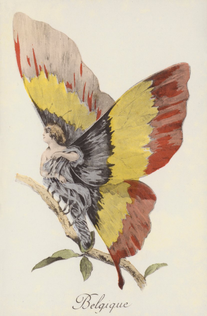 Representação alegórica da Bélgica como uma borboleta (litografia a cores) de French School