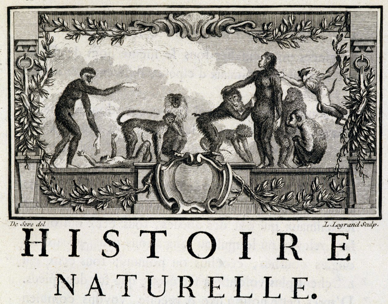 Alegoria da História Natural dos Macacos - in "Histoire naturelle, générale et particulière" de Buffon de French School