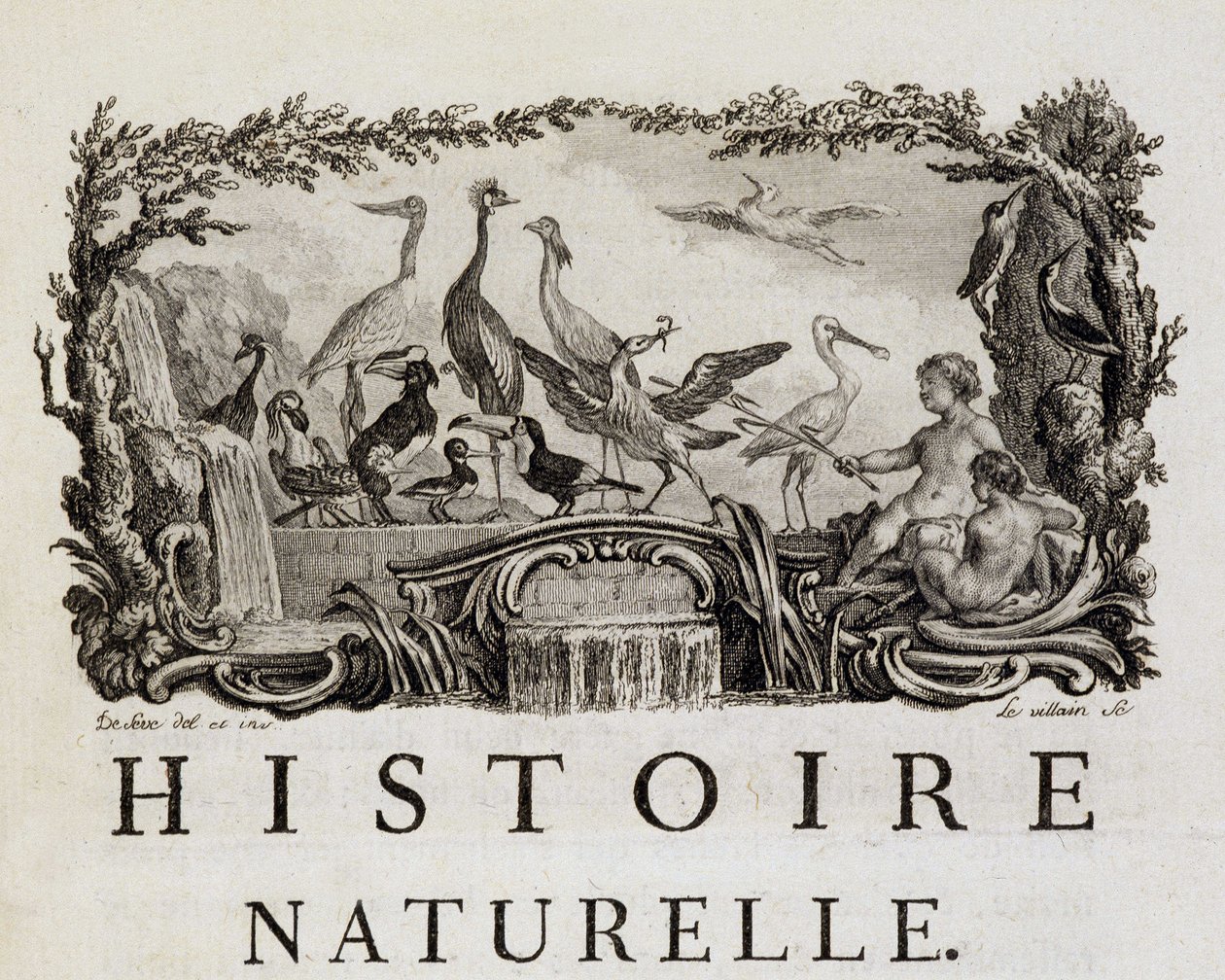 Alegoria da história natural das aves - in "Histoire naturelle, générale et particulière" de Buffon de French School