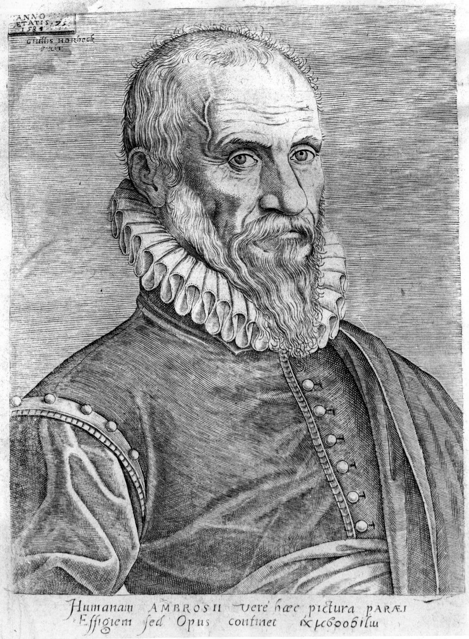 Ambroise Paré (1509-1590). de French School