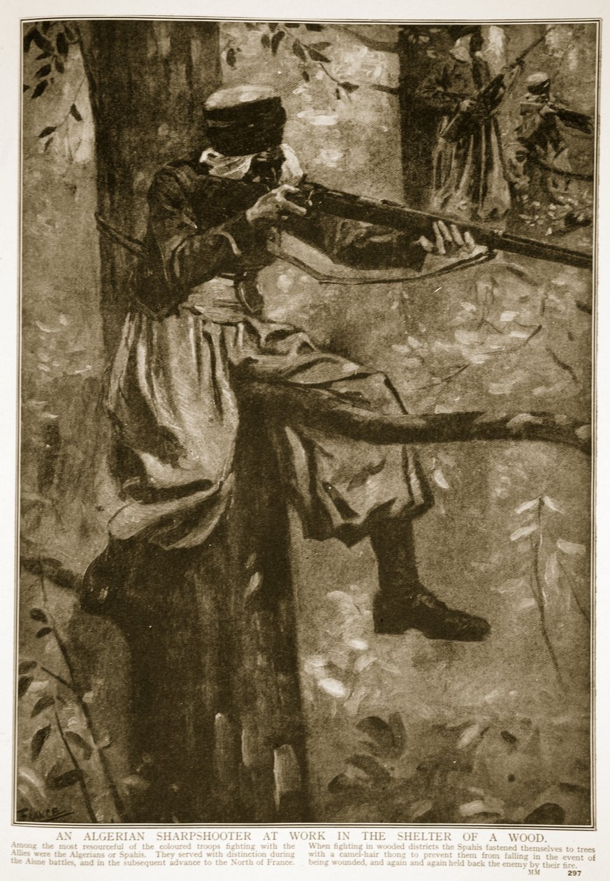 Um atirador argelino em ação no abrigo de uma floresta, 1914-19 de French School
